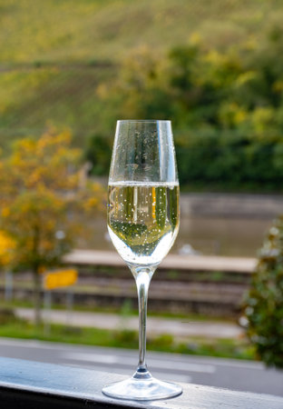 Tasting of sparkling white wine, traditional champagne method making of cremant in caves on Moselle river valley in Luxembourg, glasses of wine and view on terraced vineyardsの写真素材