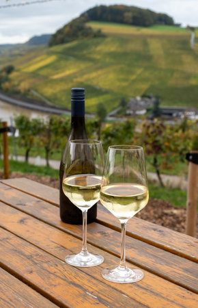 Glasses of white dry riesling wine made on Moselle river valley in Germany or Luxembourg, view on...