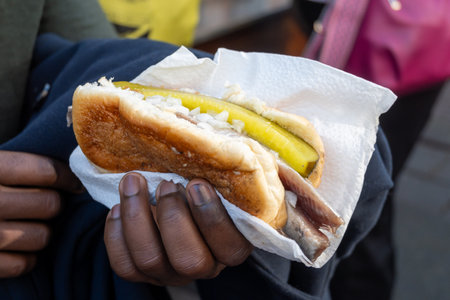 Season of Dutch herring fresh salted fish ready to eat, traditional food in Netherlands, soft bun with herring fillet, onion and picked cucumber, street foodの写真素材