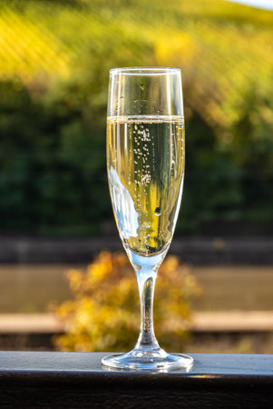 Tasting of sparkling white wine, traditional champagne method making of cremant in caves on Moselle river valley in Luxembourg, glasses of wine and view on terraced vineyardsの写真素材