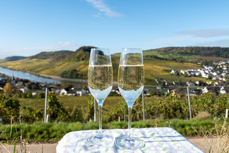 Tasting of sparkling white wine, traditional champagne method making of cremant in caves on Moselle river valley in Luxembourg, glasses of wine and view on terraced vineyardsの写真素材
