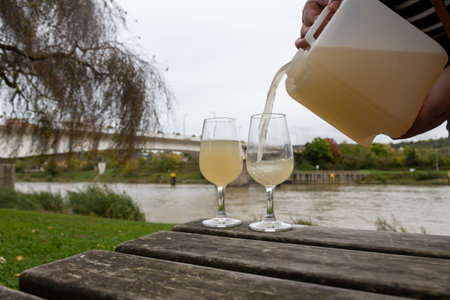 Autumn wine festival in Schengen, Luxembourg, on Moselle river valley, tasting of federweisser young...