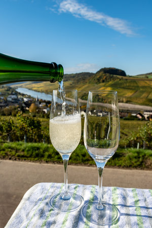 Tasting of sparkling white wine, traditional champagne method making of cremant in caves on Moselle river valley in Luxembourg, glasses of wine and view on terraced vineyardsの写真素材