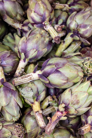 Fresh big Romanesco organic artichokes green-purple flower heads ready to cook seasonal foodの写真素材