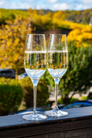 Tasting of sparkling white wine, traditional champagne method making of cremant in caves on Moselle river valley in Luxembourg, glasses of wine and view on terraced vineyardsの写真素材
