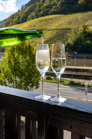 Tasting of sparkling white wine, traditional champagne method making of cremant in caves on Moselle river valley in Luxembourg, glasses of wine and view on terraced vineyardsの写真素材