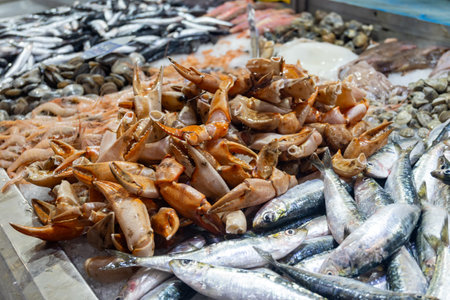 Assortment of fresh ocean daily catch of different Spanish crabs, molluscs, fish, cuttlefish, on ice on fish market in Jerez de la Frontera, Andalusia, Spainの写真素材