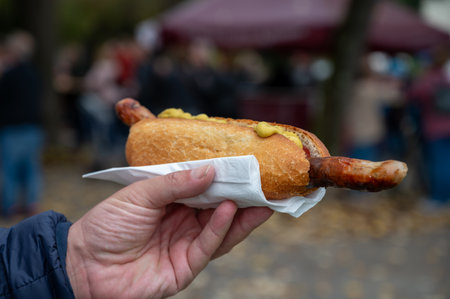 German street food, hot dog with BBQ grilled sausage and bread bun with mustard, fast food