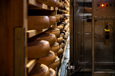 Aging rooms with many shelves in cheese caves, central location for aging of wheels, rounds of Comte...