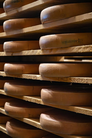 Aging rooms with many shelves in cheese caves, central location for aging of wheels, rounds of Comte cheese from four months to several years made from raw cow milk, Jura, Franceの写真素材