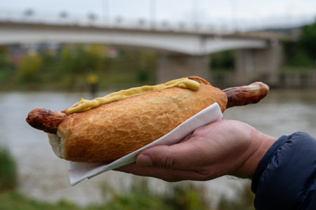 German street food, hot dog with BBQ grilled sausage and bread bun with mustardの写真素材