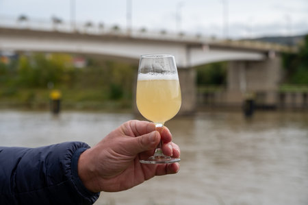 Autumn wine festival in Schengen on Mosel river, Luxembourg, tasting of fiederwaissen young wine fermented freshly pressed auxerrois grape juice, or mustの写真素材