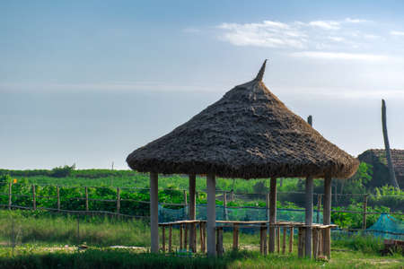 A beautiful landscape with in Mandarmani purushottampur Westbengal Best Tourist attraction in West Bengalの写真素材