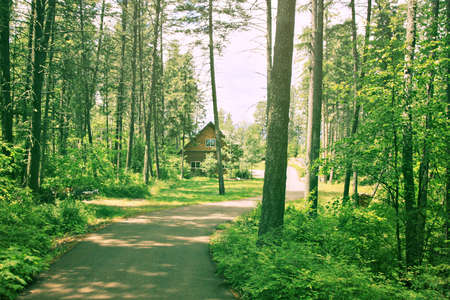 House in the woodsの写真素材