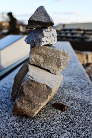 Roach next to rock pileの写真素材