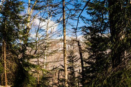 Cannon Mountain in Franconia, NH via Hi-Cannon, Kinsman Ridge, and Lonesome Lake Trailsの写真素材