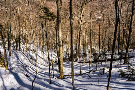 Cannon Mountain in Franconia, NH via Hi-Cannon, Kinsman Ridge, and Lonesome Lake Trailsの写真素材