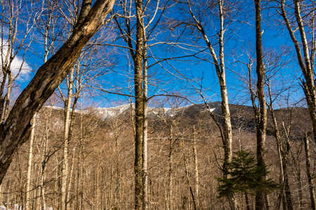 Cannon Mountain in Franconia, NH via Hi-Cannon, Kinsman Ridge, and Lonesome Lake Trailsの写真素材