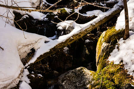 Cannon Mountain in Franconia, NH via Hi-Cannon, Kinsman Ridge, and Lonesome Lake Trailsの写真素材