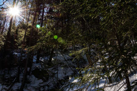 Cannon Mountain in Franconia, NH via Hi-Cannon, Kinsman Ridge, and Lonesome Lake Trailsの写真素材