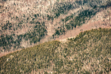 Cannon Mountain in Franconia, NH via Hi-Cannon, Kinsman Ridge, and Lonesome Lake Trailsの写真素材