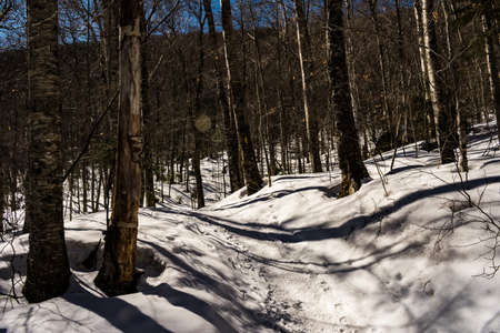 Cannon Mountain in Franconia, NH via Hi-Cannon, Kinsman Ridge, and Lonesome Lake Trailsの写真素材