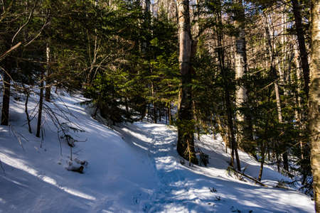 Cannon Mountain in Franconia, NH via Hi-Cannon, Kinsman Ridge, and Lonesome Lake Trailsの写真素材