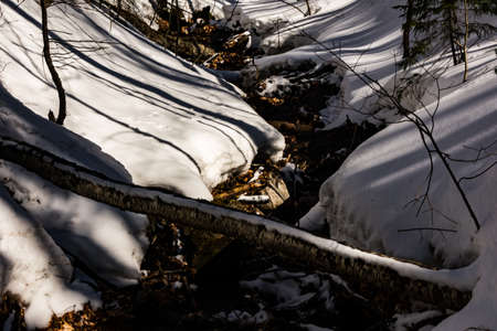 Cannon Mountain in Franconia, NH via Hi-Cannon, Kinsman Ridge, and Lonesome Lake Trailsの写真素材
