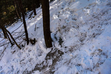 Cannon Mountain in Franconia, NH via Hi-Cannon, Kinsman Ridge, and Lonesome Lake Trailsの写真素材