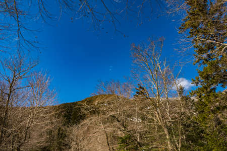 Cannon Mountain in Franconia, NH via Hi-Cannon, Kinsman Ridge, and Lonesome Lake Trailsの写真素材
