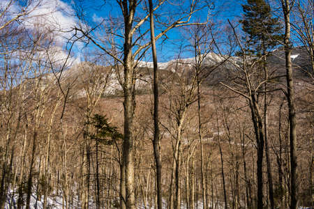 Cannon Mountain in Franconia, NH via Hi-Cannon, Kinsman Ridge, and Lonesome Lake Trailsの写真素材