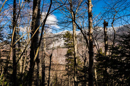 Cannon Mountain in Franconia, NH via Hi-Cannon, Kinsman Ridge, and Lonesome Lake Trailsの写真素材