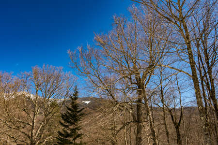 Cannon Mountain in Franconia, NH via Hi-Cannon, Kinsman Ridge, and Lonesome Lake Trailsの写真素材