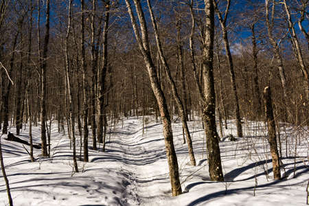 Cannon Mountain in Franconia, NH via Hi-Cannon, Kinsman Ridge, and Lonesome Lake Trailsの写真素材