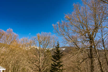 Cannon Mountain in Franconia, NH via Hi-Cannon, Kinsman Ridge, and Lonesome Lake Trailsの写真素材