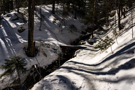 Cannon Mountain in Franconia, NH via Hi-Cannon, Kinsman Ridge, and Lonesome Lake Trailsの写真素材