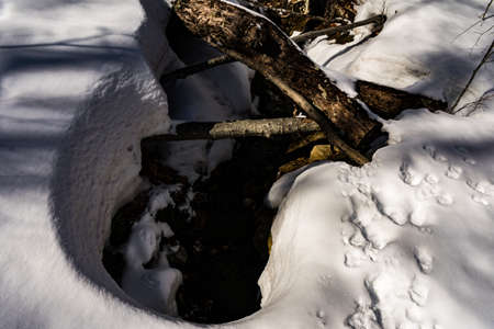Cannon Mountain in Franconia, NH via Hi-Cannon, Kinsman Ridge, and Lonesome Lake Trailsの写真素材