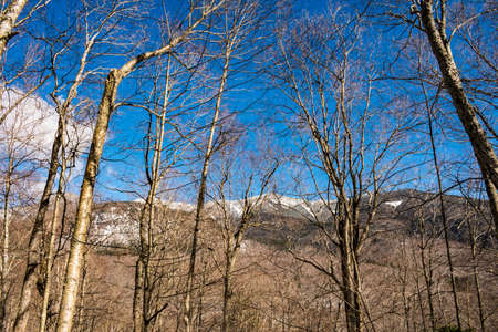 Cannon Mountain in Franconia, NH via Hi-Cannon, Kinsman Ridge, and Lonesome Lake Trailsの写真素材