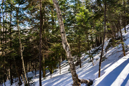 Cannon Mountain in Franconia, NH via Hi-Cannon, Kinsman Ridge, and Lonesome Lake Trailsの写真素材
