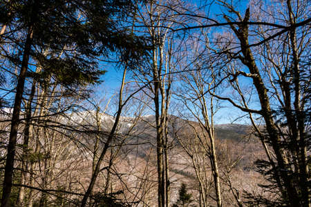 Cannon Mountain in Franconia, NH via Hi-Cannon, Kinsman Ridge, and Lonesome Lake Trailsの写真素材