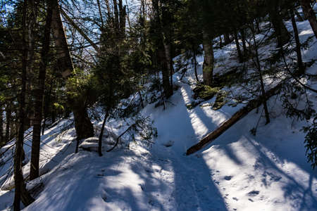 Cannon Mountain in Franconia, NH via Hi-Cannon, Kinsman Ridge, and Lonesome Lake Trailsの写真素材