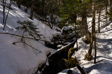 Cannon Mountain in Franconia, NH via Hi-Cannon, Kinsman Ridge, and Lonesome Lake Trailsの写真素材