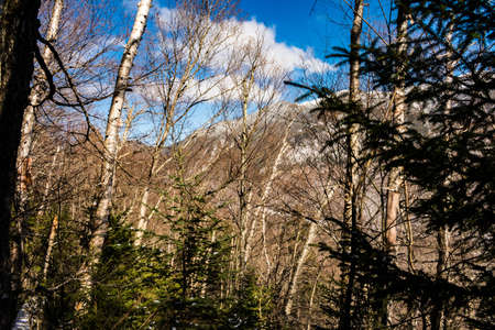 Cannon Mountain in Franconia, NH via Hi-Cannon, Kinsman Ridge, and Lonesome Lake Trailsの写真素材