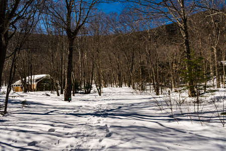 Cannon Mountain in Franconia, NH via Hi-Cannon, Kinsman Ridge, and Lonesome Lake Trailsの写真素材