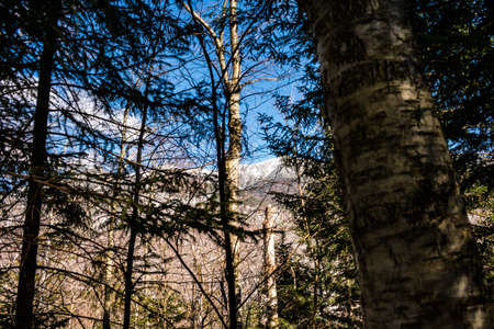 Cannon Mountain in Franconia, NH via Hi-Cannon, Kinsman Ridge, and Lonesome Lake Trailsの写真素材