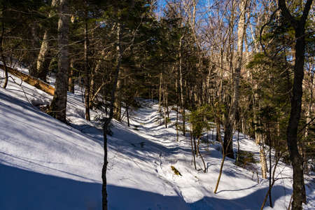 Cannon Mountain in Franconia, NH via Hi-Cannon, Kinsman Ridge, and Lonesome Lake Trailsの写真素材