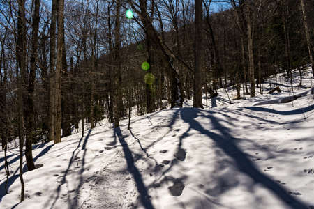 Cannon Mountain in Franconia, NH via Hi-Cannon, Kinsman Ridge, and Lonesome Lake Trailsの写真素材