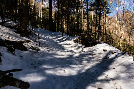 Cannon Mountain in Franconia, NH via Hi-Cannon, Kinsman Ridge, and Lonesome Lake Trailsの写真素材