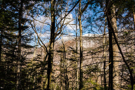 Cannon Mountain in Franconia, NH via Hi-Cannon, Kinsman Ridge, and Lonesome Lake Trailsの写真素材