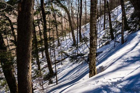 Cannon Mountain in Franconia, NH via Hi-Cannon, Kinsman Ridge, and Lonesome Lake Trailsの写真素材